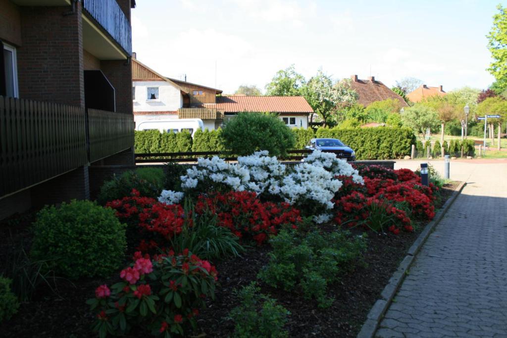 Hotel Seeblick garni Gartow Exterior foto