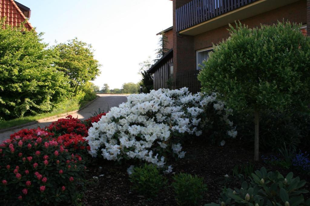 Hotel Seeblick garni Gartow Exterior foto